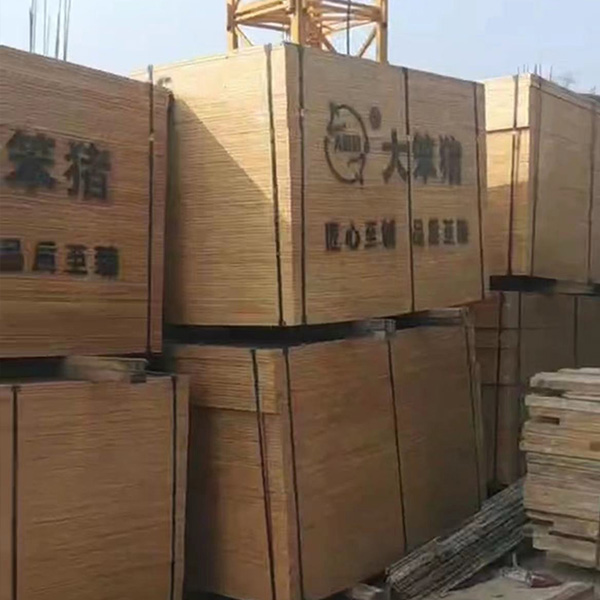 广东工地
